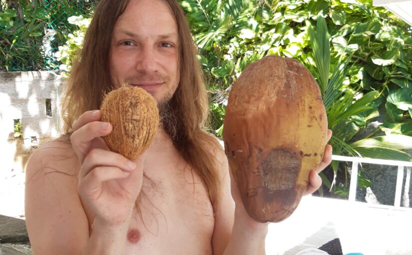 Tag 13: Coconuts for free und Trail „Anse Major“